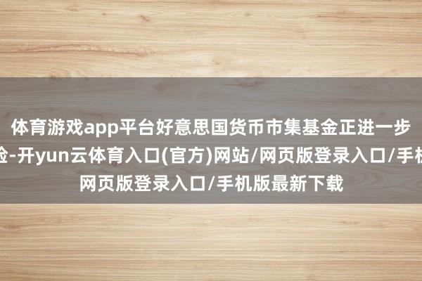 体育游戏app平台好意思国货币市集基金正进一步责备利率风险-开yun云体育入口(官方)网站/网页版登录入口/手机版最新下载