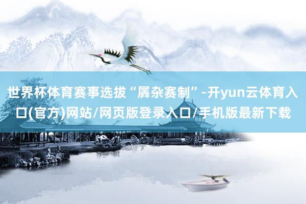 世界杯体育赛事选拔“羼杂赛制”-开yun云体育入口(官方)网站/网页版登录入口/手机版最新下载
